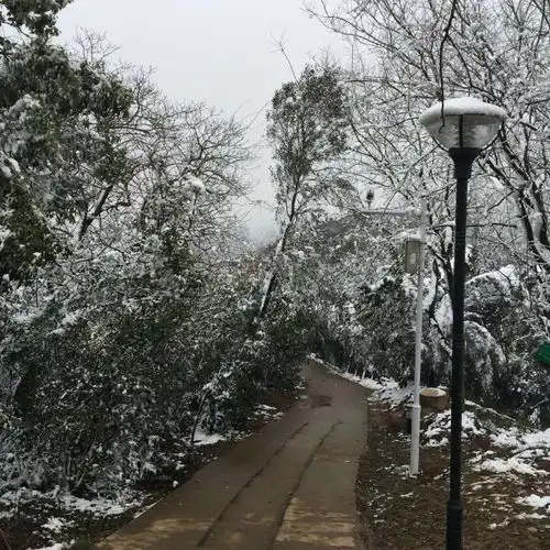 南岳山森林公园门票,南岳山森林公园游玩攻略360地图