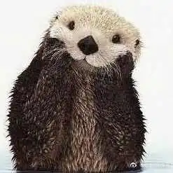 那我就是孤独的相册可以拿来做头像