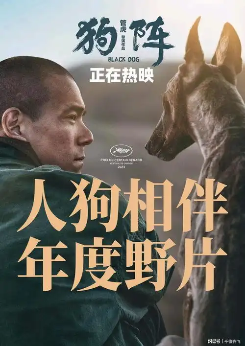彭于晏狗阵票房仅665万,动画片排球少年强势夺冠