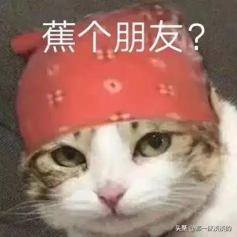 给男朋友发几张图,他竟把我举报了网友堪称道德界楷模哈哈