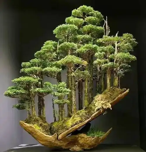 50张照片,带你见识日本,不为人知的另外一面