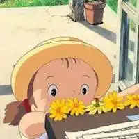 龙猫小梅可爱头像图片微信头像图片大全