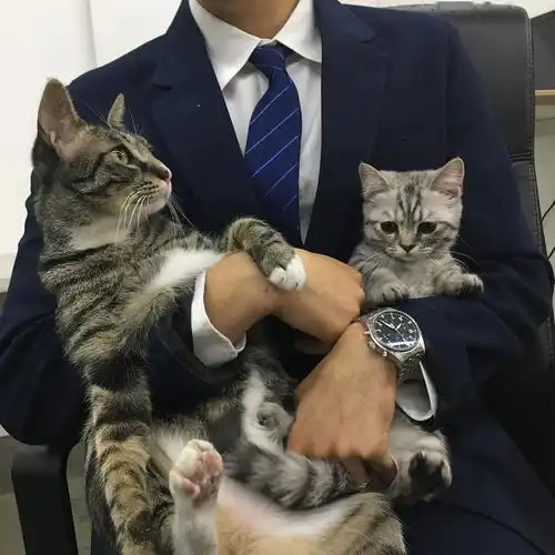 微信头像高清好看的真人头像大全