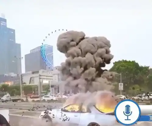 广西一男子为了涨粉发特效视频炸收费站,被拘10日