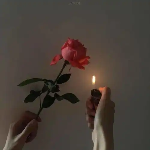 为什么我的ins没有那个星星wps黑色五角星符号怎么找到