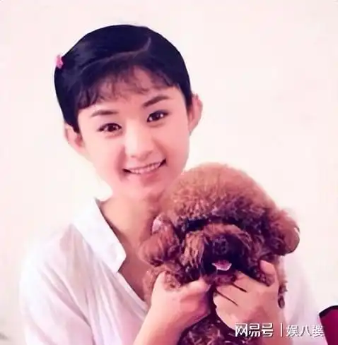 赵丽颖自侃独立到强势,分不清是男友或工作人员,曾被陈晓拒炒cp