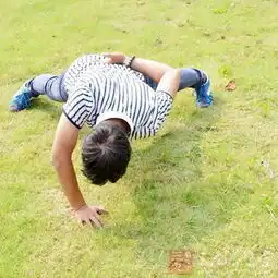 健身常识俯卧撑怎么做你知道吗