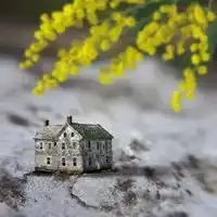 有素质有修养的图片