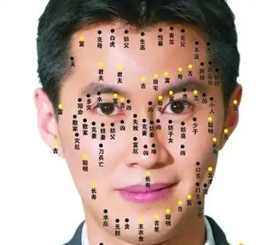 天生自然卷发的人,很聪明,普遍表现情商很高