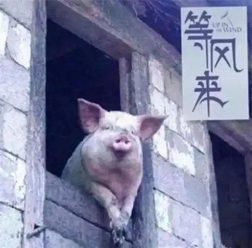 微信文末点赞变好看,2000万内容创作者福音