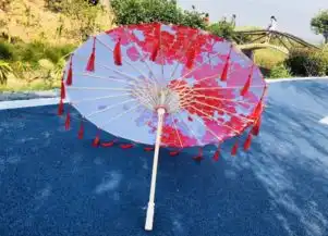 12星座专属古风纸伞,狮子座竹叶复古风,处女座戏曲中国风