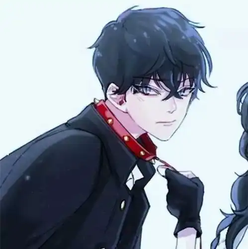 有什么女攻男受的情侣头像