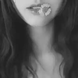 在灰色中分辨黑白