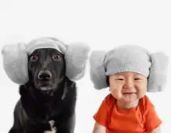 混血宝宝与狗合照走红穿同样衣服萌翻众人