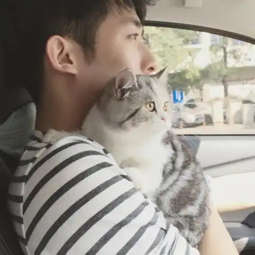 抱猫谈情情侣头像一左一右图片扣扣居