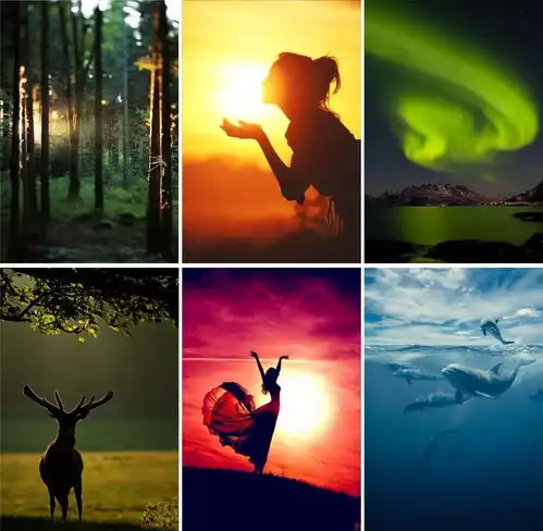 版式中的图片第二期