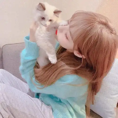 头像图片丨男生,女生头像,个性头像1229