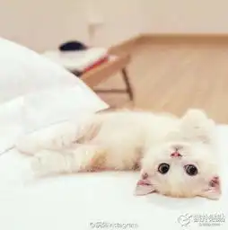 我喜欢就这样看着你看到你喜欢我为止