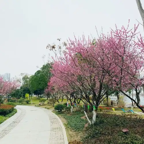 南岳山森林公园门票,南岳山森林公园游玩攻略360地图