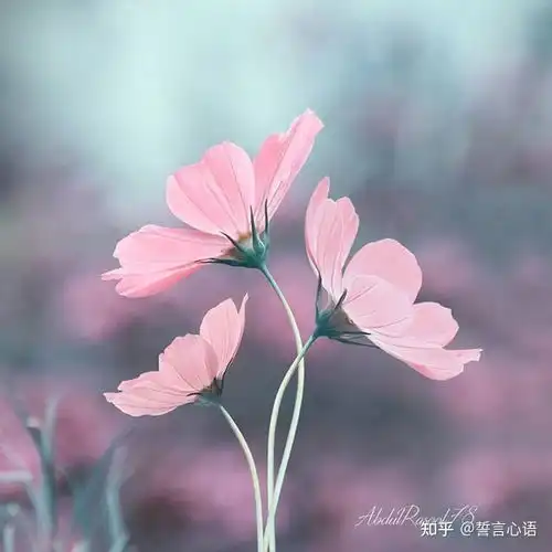 适合写给自己的人生格言,句句穿透人心