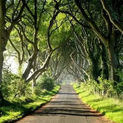 2023清新唯美风景头像