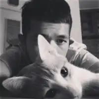 抱着猫咪的情侣头像