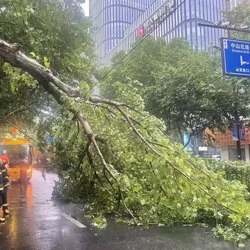 罚款1300多万,无限期暂停在京所有演出笑果回应接受处罚,即刻解除演员house合同