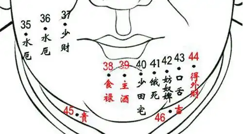 脸上痣的位置与命运图示男人面部痣位置详解