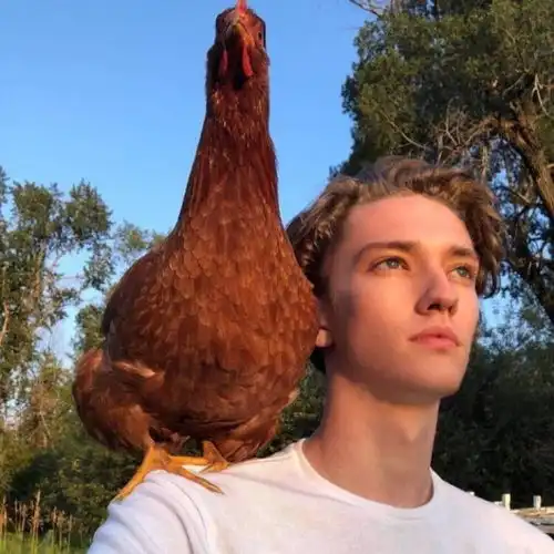 男生头像留着给男票