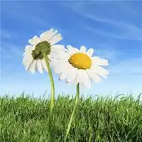 给男生带来好运气的微信头像微信头像图片大全