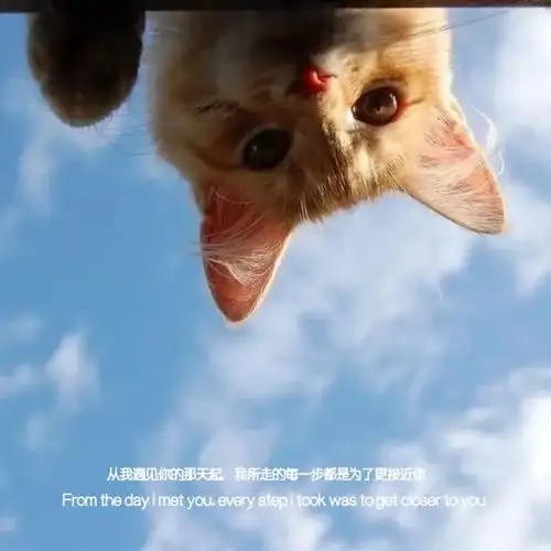 情话文案若想改变我何须费那么大力气,一个你,就够了