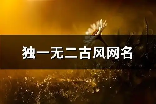 独一无二古风网名共459个