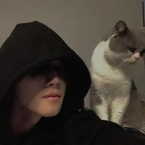 头像别在逼迫爱情它不属于你多执着也无用