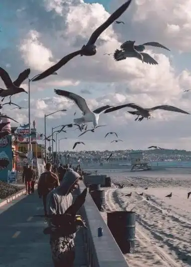 心理测试选一个你喜欢的男背影,测你会和多少个异性谈恋爱