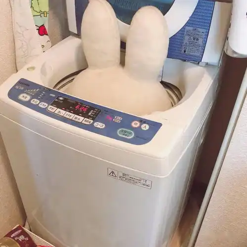 杨幂魏大勋同居照片意外流出沙雕网友好家伙,这也能扒到