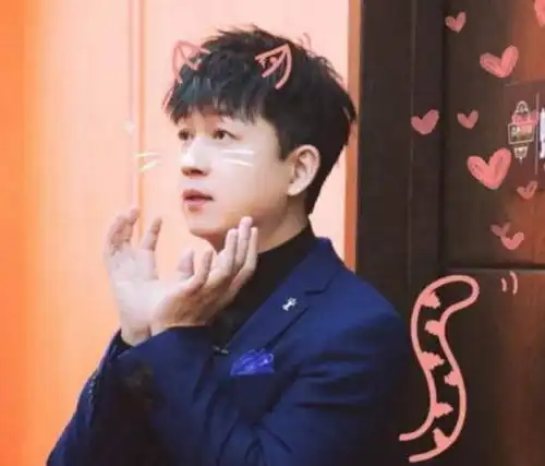 有潘粤明搞笑的表情吗