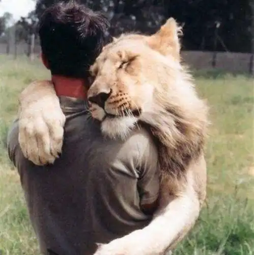 复式1.5k阁楼上的带阳台大卧室出租