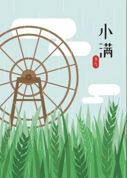 今日小满天气预警下雨时刻,你该知道的农谚解密节气小麦收成网易订阅