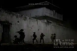 猎杀本拉登一个女人的心路历程,一次充满男性荷尔蒙的刺杀行动