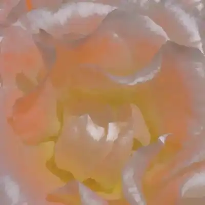 2023最新唯美简约风景头像