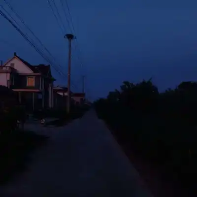 植物头像超漂亮的花草风景图片