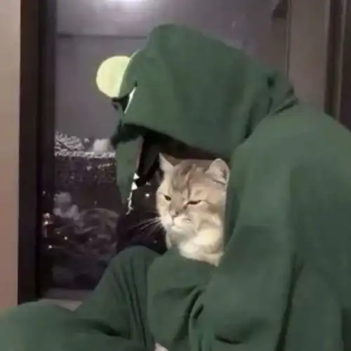 黑暗中的星光虎颜的歌高音质在线试听黑暗中的星光歌词歌曲下载酷狗音乐