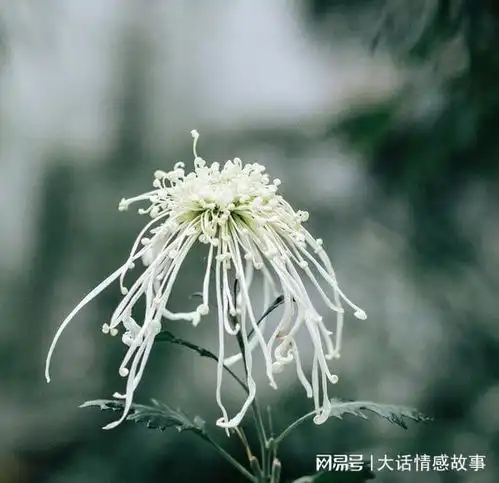 真正成熟的人,一定不会有的缺点