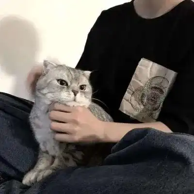 男生头像qq头像男生带字超拽,世界什么都好只是我太孤独了第197期