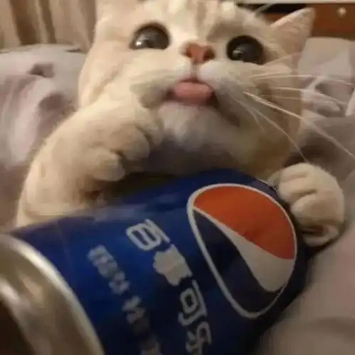 有没有可可爱爱憨憨的男孩子头像啊