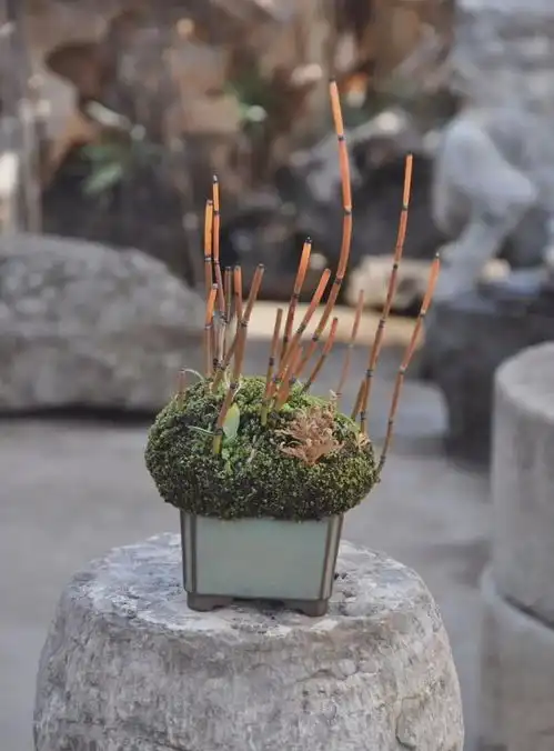 庭院里千万别放老石器,因为...