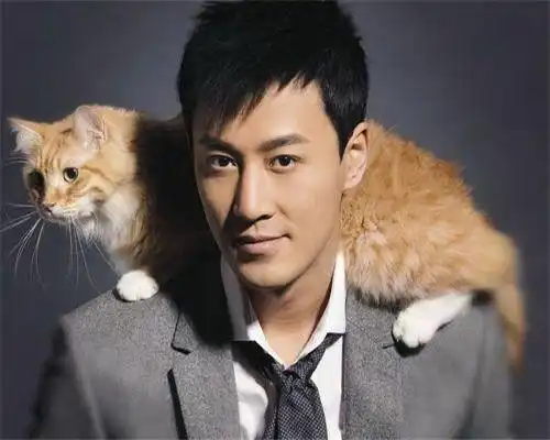 娱乐圈年过30的黄金单身,胡歌王凯榜上有名,你们更喜欢谁