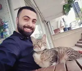 一个男人和9只猫的故事