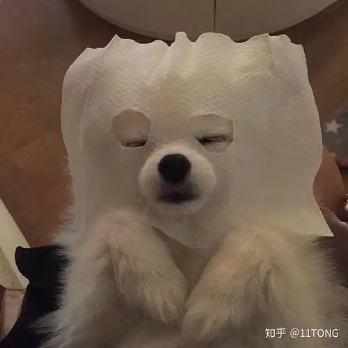 有哪些可爱或逗比的布偶头像