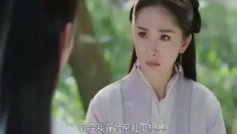 双手插兜41的个人频道